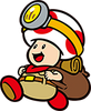 Captaintoad 2d run