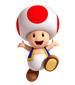 Toad