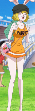 Carrot Casual Outfit