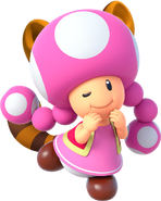 Raccoon Toadette