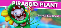 PirabbidPlant Tagline