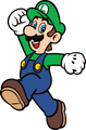 Luigi2djump