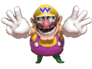 1.4.Wario's two W signs