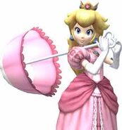 Peach: The Ruler of Mushroom Kingdom. She (obviously) helps defend it from Bowser. She is normally kidnapped by him, but in this case, he is trying to kill her along with the other heroes.
