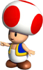 Toad NSMBDIY