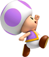 LavenderToad