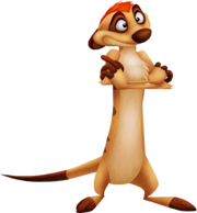 Timon