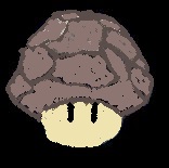 Rock Mushroom