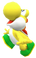 5.3.CSSB Yellow Yoshi