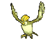 017 Pidgeotto Shiny.gif (19 KB)
