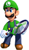 MTUS Luigi