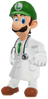 0.1.Dr. Luigi Standing