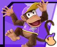 Purple - Resembles his appearance in Donkey Kong Country 2: Diddy's Kong Quest's Two-Player Contest mode.