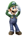 Luigi 52.png (29 KB)