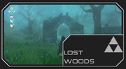 Lost woodsult