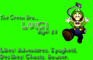 Luigi's Character Card.