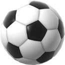 Fig 20 soccerball