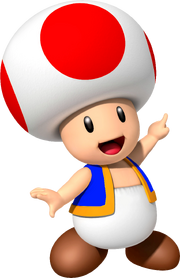 Toad MKR