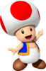 Toad MKR