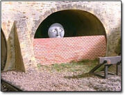 Thomas.jpg