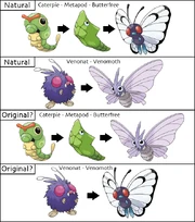 Caterpie