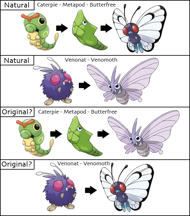 aerodactyl evolution chart