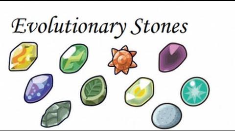 Pokemon Theory How Do Evolution Stones Work?-1435950030