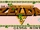 Legend of Zelda