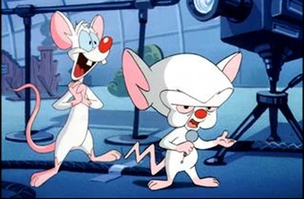 Pinky and the Brain | Fan Theories Wiki | Fandom