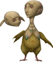 Oocca.png