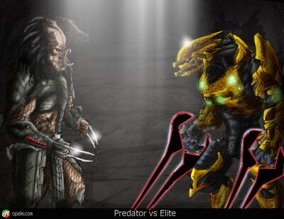 EVP Elite vs Predator by Gourmandhast