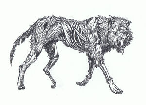 Zombie Wolf by LLawlietDeathNote