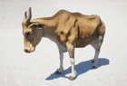 Banteng
