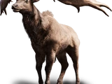 Animali (Far Cry Primal)