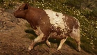 Far-cry-new-dawn-cattle-hunting-location