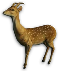 Sika
