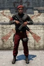 Canaglie guardia reale