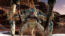 Arachnids 4