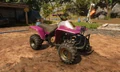 Rangoon buggy