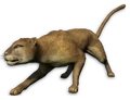 FC3 cutout mountainlion