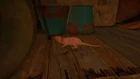 FCND ratto