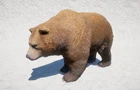 Orso grizzly