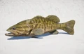 Micropterus dolomieu