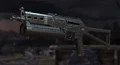 BZ19 FC5
