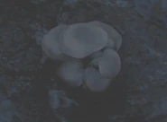Pianta 4 FC4 .jpg (26 KB)
