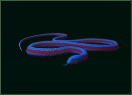 Neon snake2