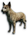 FC3 cutout dingo