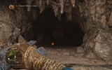Caverna Plashga
