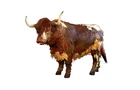 Far-cry-new-dawn-bull-hunting-location-1620x800