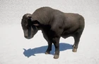 Far-cry-5-bull.jpg.optimal